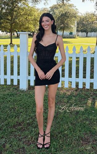 Picture of: Sheer Sparkle Corset Mini Dress in Black, Style: 33234, Main Picture