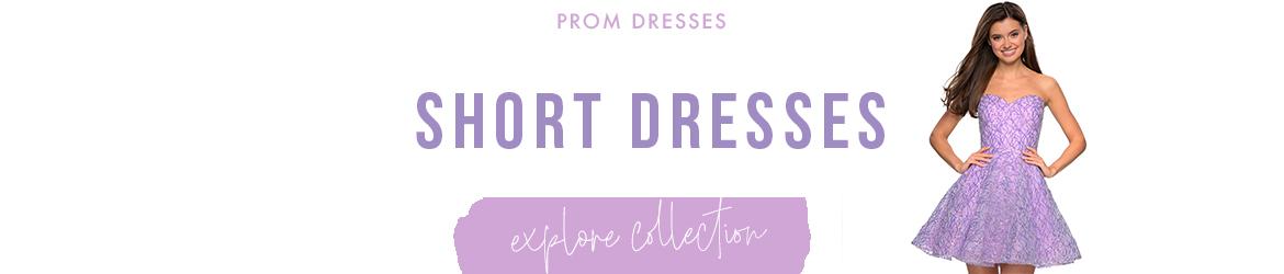 Picture of: Short Prom Dresses