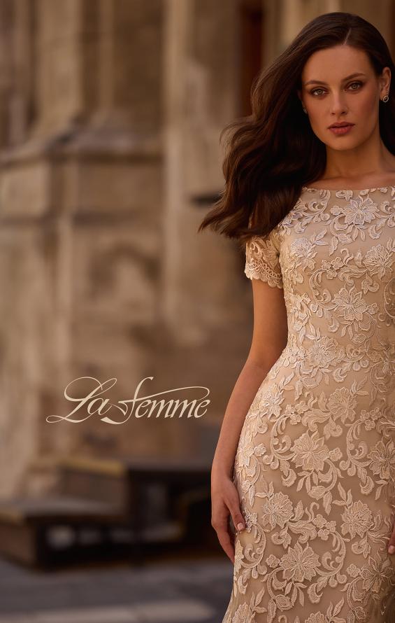 Picture of: Beautiful Lace Mother of the Bride Dress with Short Sleeves, Style: 29161, Detail Picture 4, Landscape